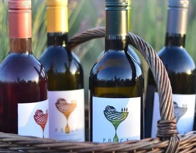 Luxury In I Almadi Lux Iv - Velvet Oak Balatonalmádi